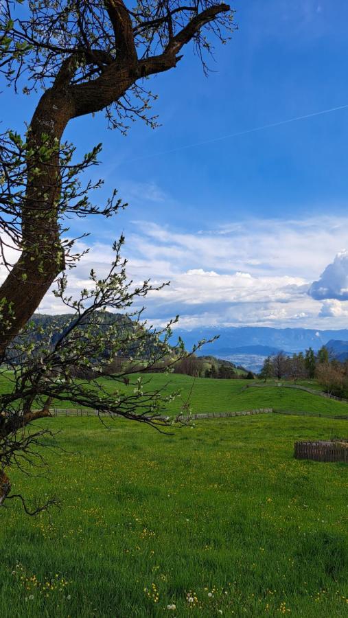 Hotel Garni Reider Meltina Esterno foto
